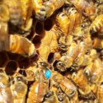 13645198 1621873638102567 4736703668676823254 n