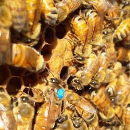 13645198 1621873638102567 4736703668676823254 n