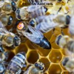 Wassertropfen 1024x682