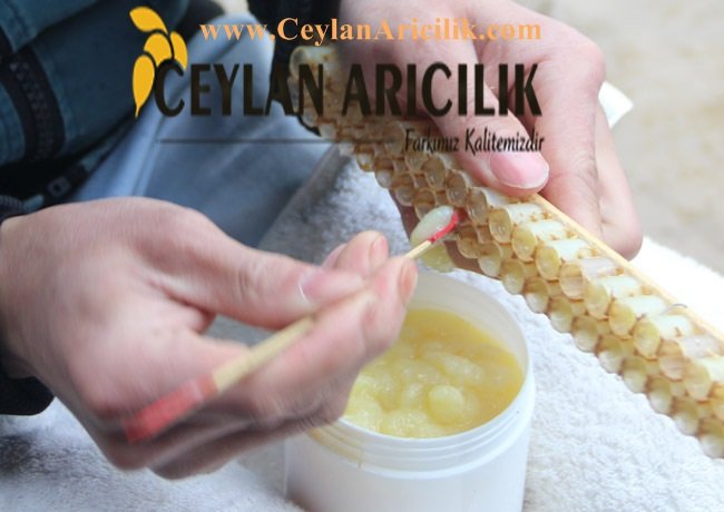 arı sutu sparişi