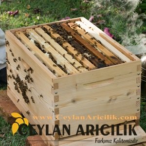 Adana Paket Arı Satışı