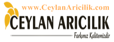 Online Paket Arıcılık ve Ana Arı Üretimi