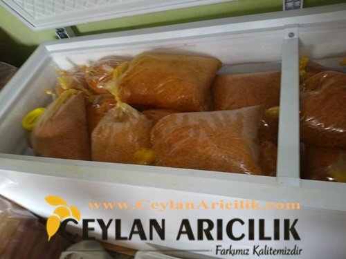 Polen Nedir ve Polenin Faydaları