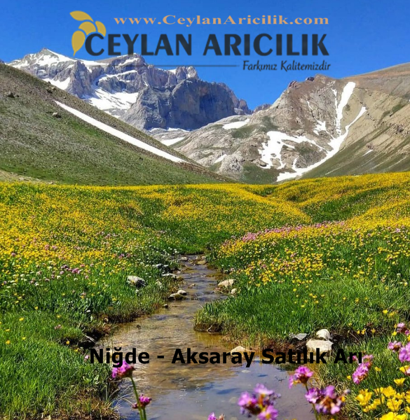 Aksaray Nigde satilik Ari