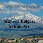 Kayseri satilik Arilar
