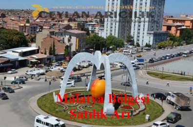 Malatya 5-6-7-8-9 Çerçeveli Satılık Arı