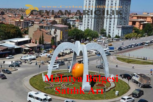 Malatya 5-6-7-8-9 Çerçeveli Satılık Arı