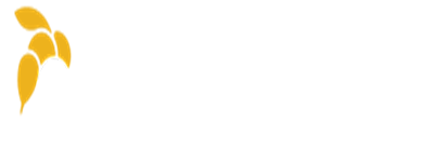 Online Paket Arıcılık ve Ana Arı Üretimi