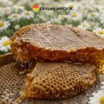 Organik Karakovan balı