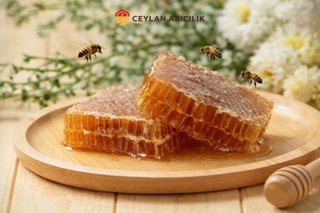 Doğal Petek Bal | Katkısız & İşlenmemiş Hakiki Bal
